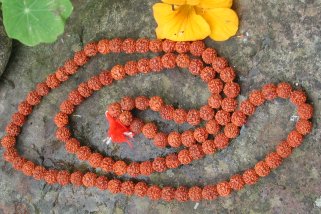 Rudraksha Mala Beads