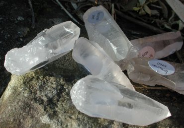 Lemurian seed crystals