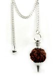 Rudraksha Dowsing pendulum